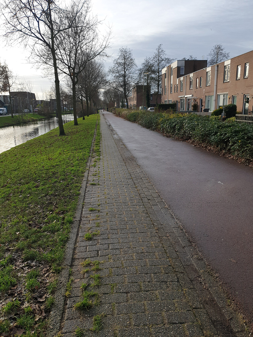 Bomen in onze stad (Bomenplan)