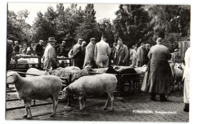 Herontwikkeling Schapenmarkt 