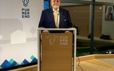 Algemene Beschouwingen 2025